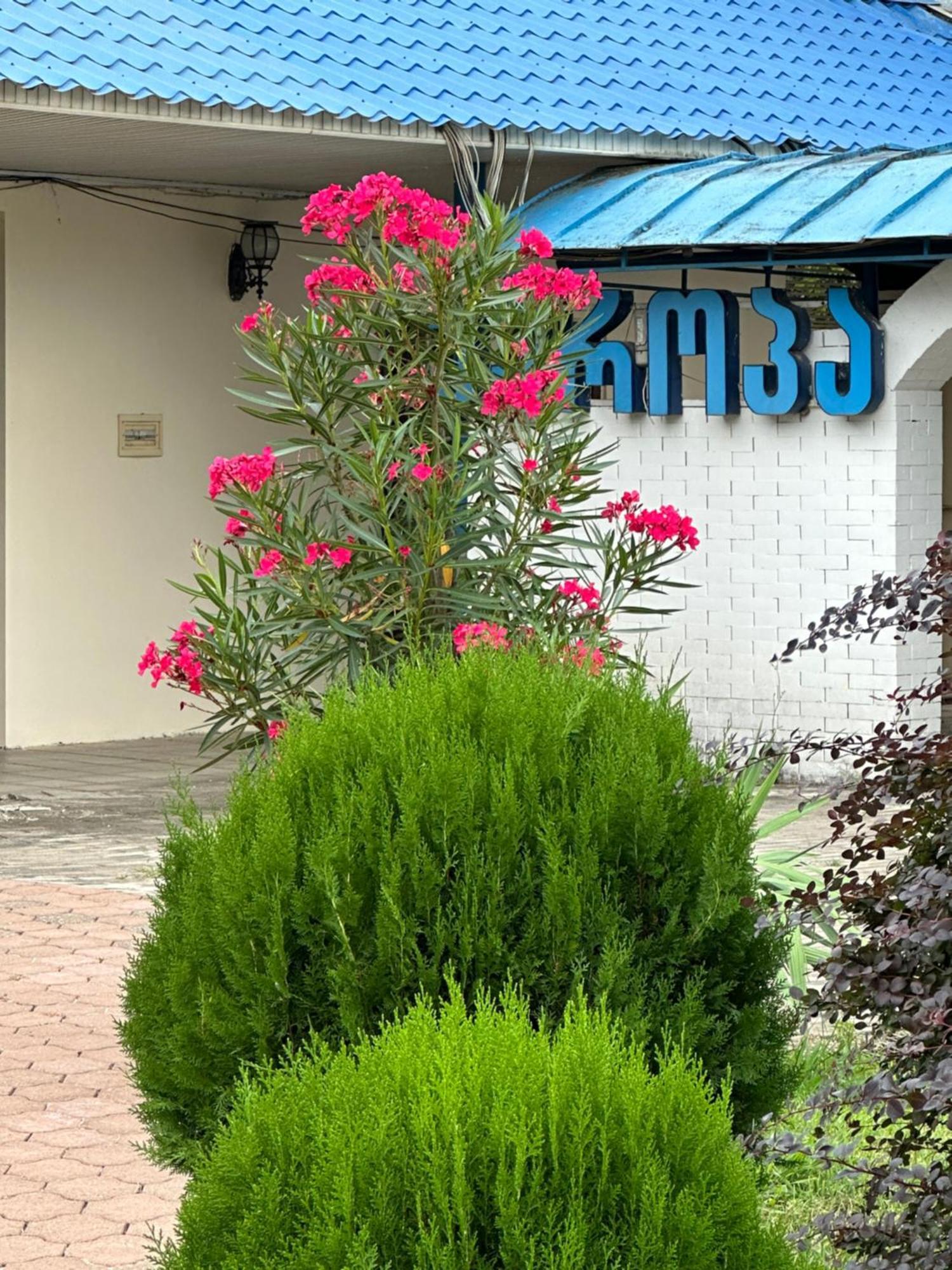 Europa Hotel-Kutaisi Exteriér fotografie